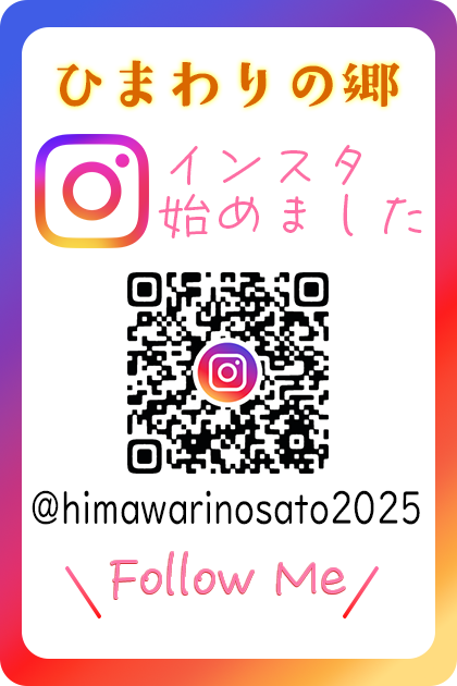 インスタ始めました